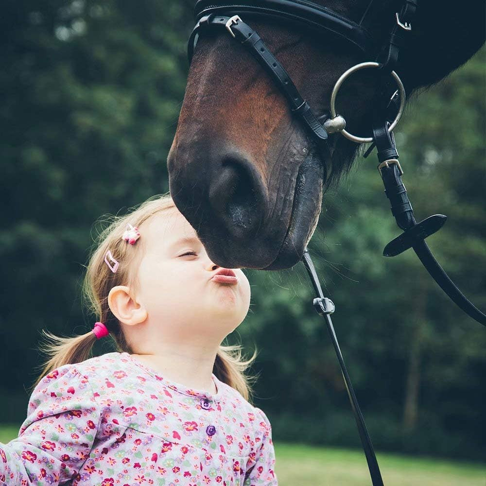 Horse Gifts for Girls - Stainless Steel Heart Initial A-Z Necklace, Dainty Jewelry for Women, Teen Girls, Horse Lovers